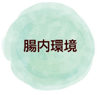 腸内環境