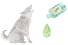 給与イメージ3