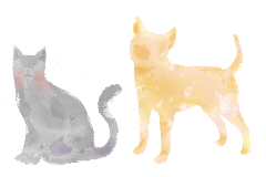 目安量イメージ1