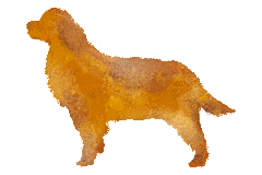目安量イメージ3